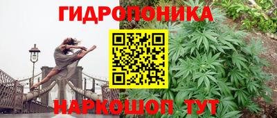стаф Тара