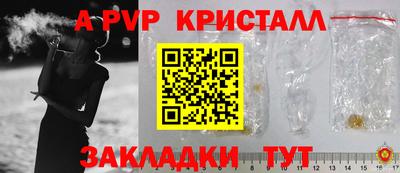 стаф Тара