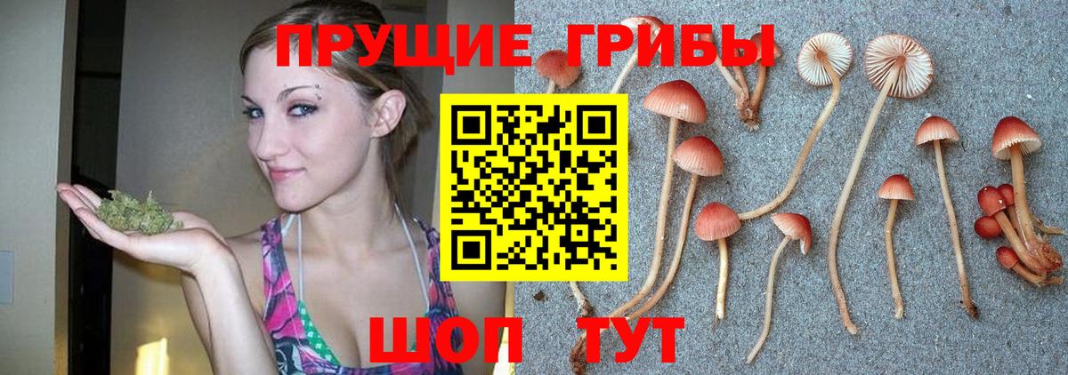 Галлюциногенные грибы мухоморы  Вход с VPN  Псилоцибиновые грибы Magic Shrooms  Самара 