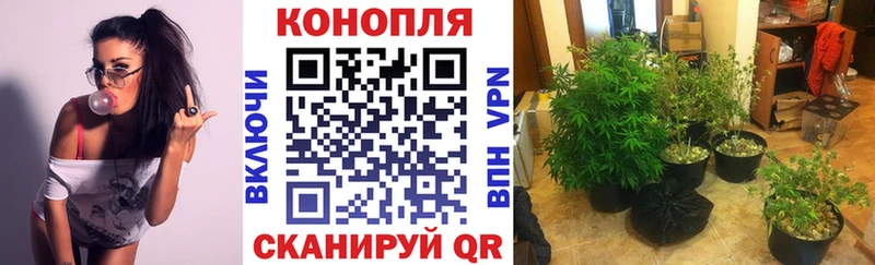 Каннабис семена  Самара 