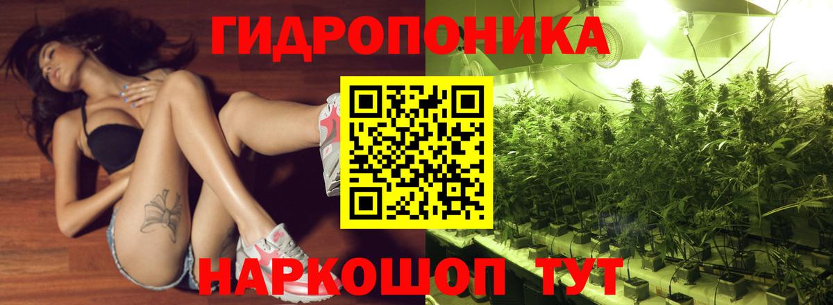 Бошки Шишки план Самара